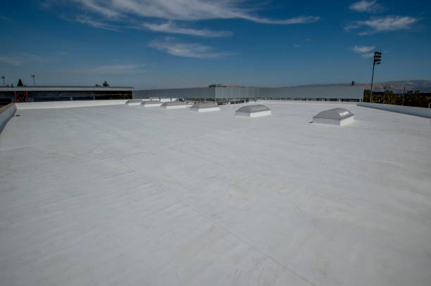 Best Skylight Installation and Repair  in Delmar, MD