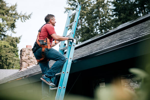 Best Storm Damage Roof Repair  in Delmar, MD