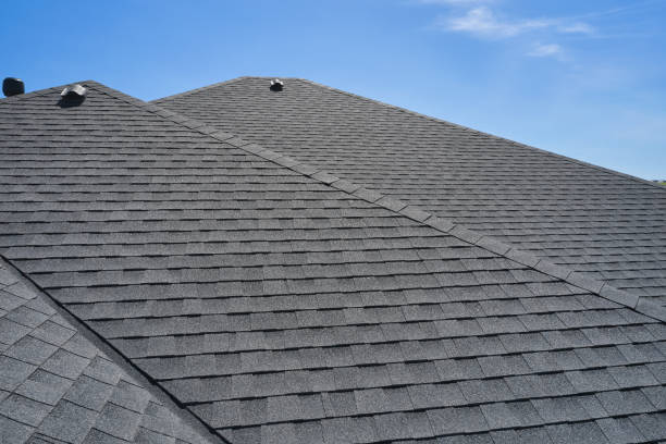 Best Rubber Roofing (EPDM, TPO)  in Delmar, MD