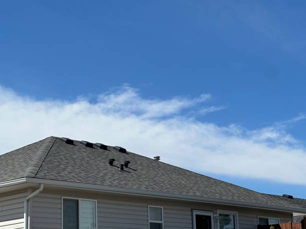 Best Chimney Flashing Repair  in Delmar, MD